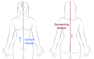 The Central and Governing Vessels